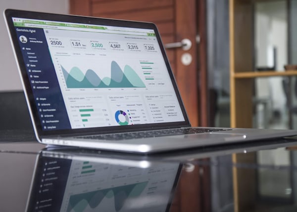 Business WordPress website project dashboard